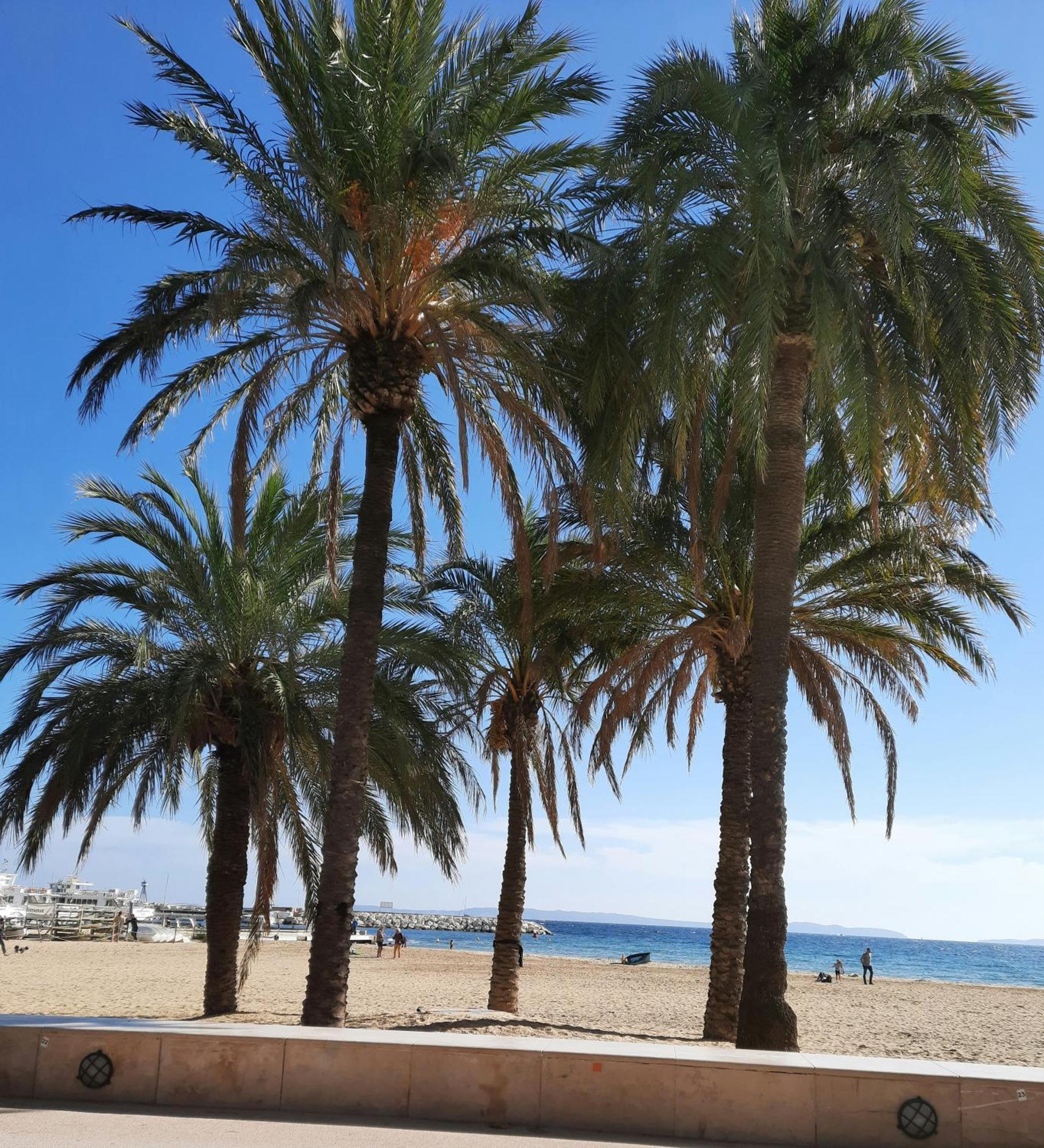 Studio Climatise Lantanas 4 Personnes Le Lavandou Buitenkant foto